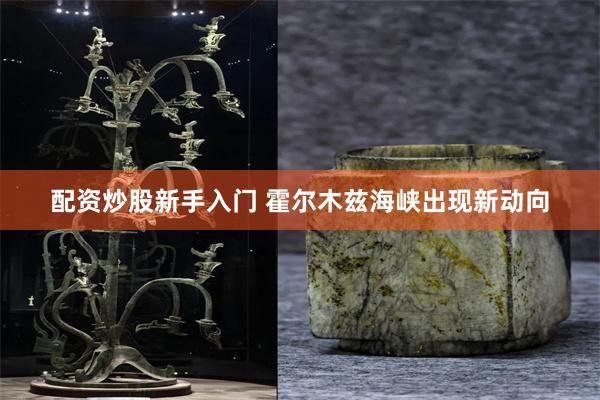 配资炒股新手入门 霍尔木兹海峡出现新动向