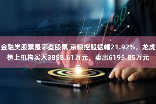 金融类股票是哪些股票 京粮控股振幅21.92%，龙虎榜上机构买入3858.61万元，卖出6195.85万元