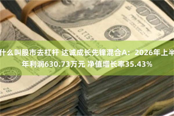 什么叫股市去杠杆 达诚成长先锋混合A：2026年上半年利润630.73万元 净值增长率35.43%