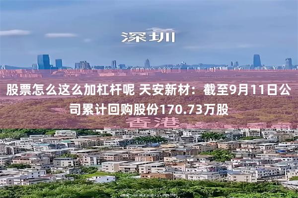 股票怎么这么加杠杆呢 天安新材：截至9月11日公司累计回购股份170.73万股