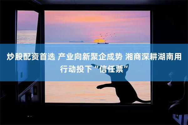 炒股配资首选 产业向新聚企成势 湘商深耕湖南用行动投下“信任票”