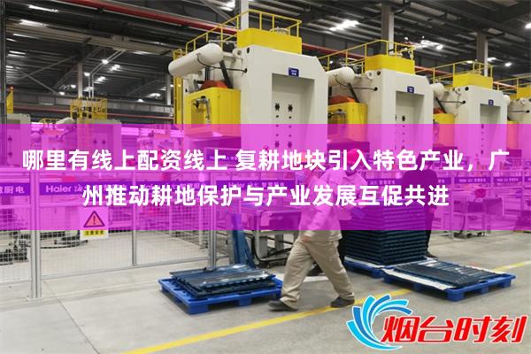 哪里有线上配资线上 复耕地块引入特色产业，广州推动耕地保护与产业发展互促共进