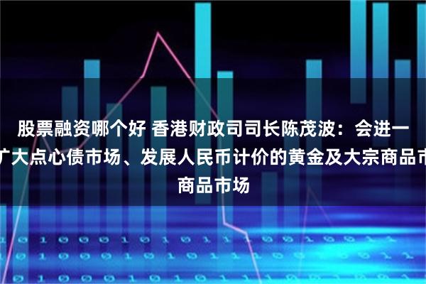 股票融资哪个好 香港财政司司长陈茂波：会进一步扩大点心债市场、发展人民币计价的黄金及大宗商品市场