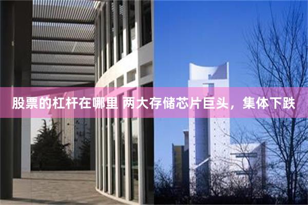 股票的杠杆在哪里 两大存储芯片巨头，集体下跌