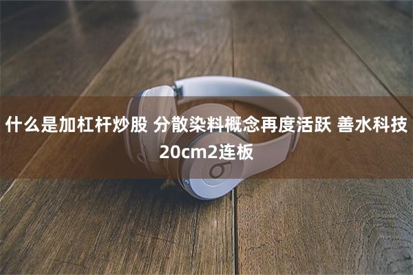 什么是加杠杆炒股 分散染料概念再度活跃 善水科技20cm2连板